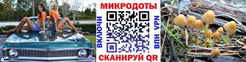 что такое   Козельск  Галлюциногенные грибы ЛСД 